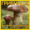 картинка Масленок обыкновенный, субстратный мицелий (грибница) от магазина Ps-Market
