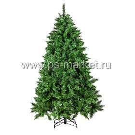 Ель БУКИНГЕМСКАЯ фото от магазина Ps-Market