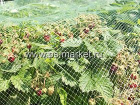 Сетка для защиты от птиц У-6 (2м) фото от магазина Ps-Market
