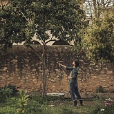 Телескопический универсальный сучкорез PowerGear X UPX86 от магазина Ps-Market