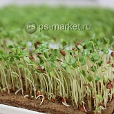 Кокосовый мульчирующий мат 1,0 х 3,0 м фото от магазина Ps-Market