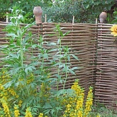 Плетень из орешника фото от магазина Ps-Market