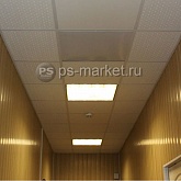 Инфракрасный потолочный обогреватель "СТЕП" 340 Вт фото от магазина Ps-Market