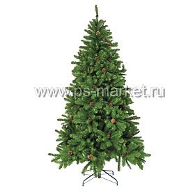 Ель ИМПЕРАТРИЦА С ШИШКАМИ фото от магазина Ps-Market