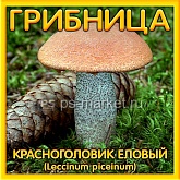 картинка Красноголовик еловый, субстратный мицелий (грибница) от магазина Ps-Market