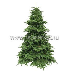 Ель НОРМАНДИЯ фото от магазина Ps-Market