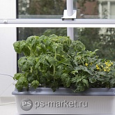 Фитосветильник «РАСТУЩИЙ светильник 16 Вт» фото от магазина Ps-Market