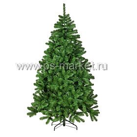 Сосна РОЖДЕСТВЕНСКАЯ фото от магазина Ps-Market