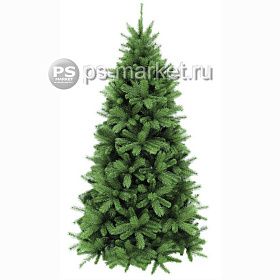 Сосна ДЕНВЕР фото от магазина Ps-Market
