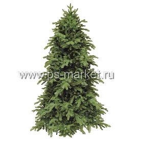Сосна БАВАРСКАЯ фото от магазина Ps-Market