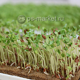 Кокосовый мульчирующий мат "Мульчаграм" 1 х 5м фото от магазина Ps-Market